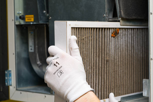 Best Ventilation Cleaning Services  in Plattsburg, MO