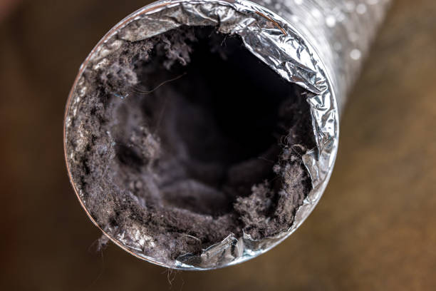 Best Air Duct Cleaning Near Me  in Plattsburg, MO